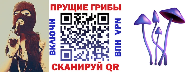 Галлюциногенные грибы ЛСД  Черноголовка 