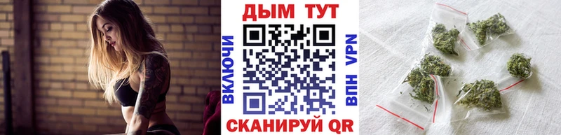 дарнет шоп Черноголовка Канабис конопля